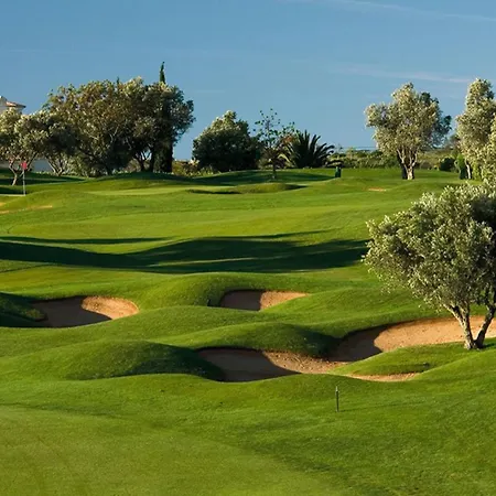 Perfect Golf & For 8 People Estombar